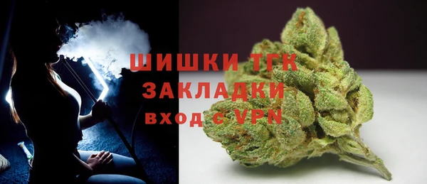 прущие грибы Вуктыл