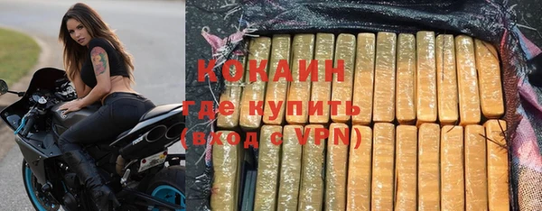 винт Абаза