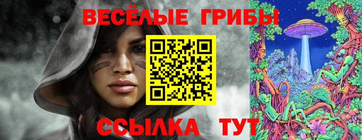 Псилоцибиновые грибы Cubensis Карталы